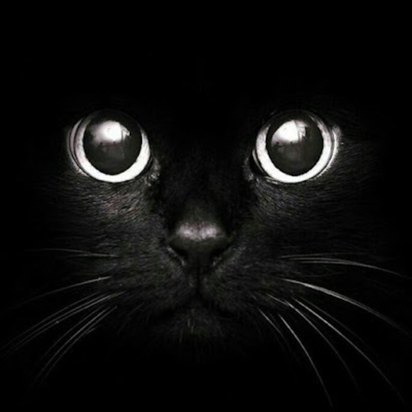 Meet your Posher, Matt - Picture 1 of 1